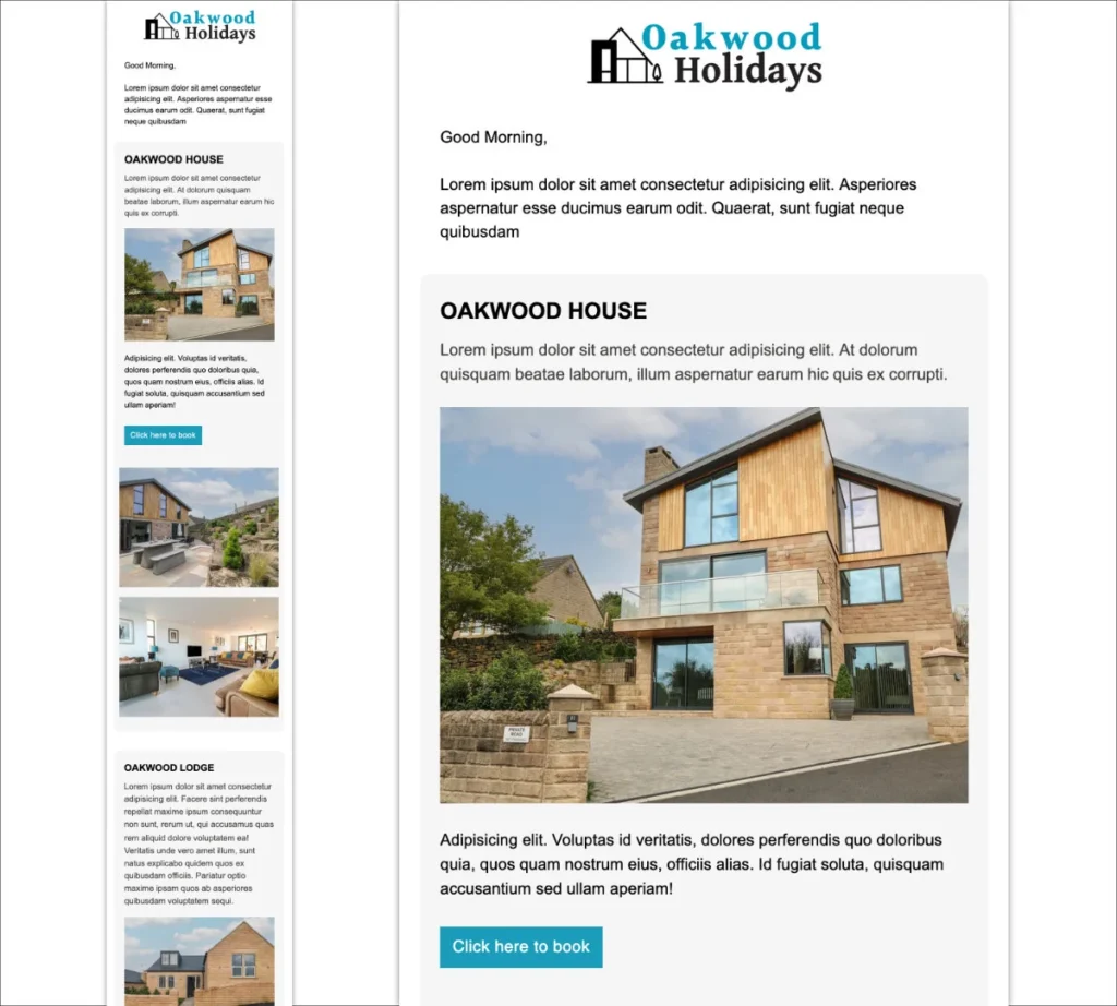 Holiday HTML Email Template